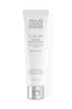 Calm Mineral Moisturizer Broad Spectrum SPF 30 normal to dry skin Full size