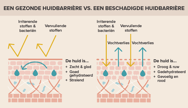 Een gezonde huidbarrière vs. een beschadigde huidbarrière 